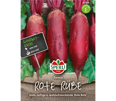 Rote Rübe 'Forono' Rote Rübe 'Forono'