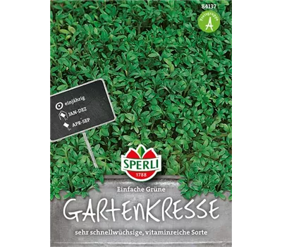Gartenkresse 'Einfache Grüne' Gartenkresse 'Einfache Grüne'