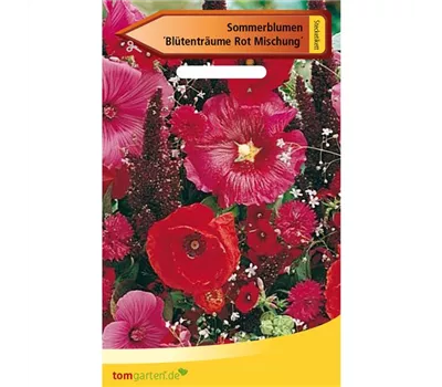 Sommerblumen 'Blütenträume Rot Mischung'