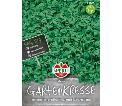Großblättrige Gartenkresse 'Mega' Großblättrige Gartenkresse 'Mega'