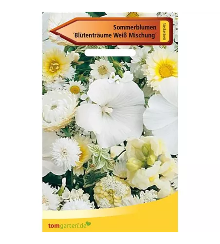 Sommerblumen 'Blütenträume Weiß Mischung'