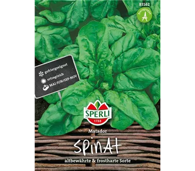 Echter Spinat 'Matador' Echter Spinat 'Matador'
