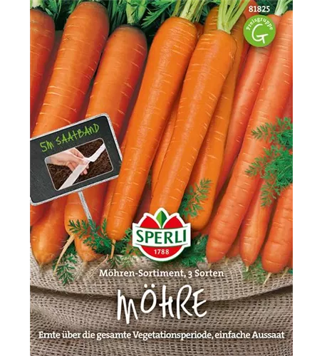Gartenmöhre