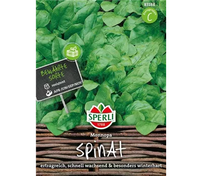 Echter Spinat 'Monnopa' Echter Spinat 'Monnopa'