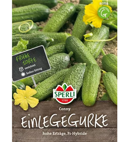 Einlegegurke 'Conny F1'