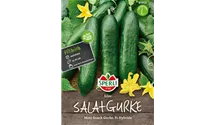 Cucumis sativus 'Silor F1'