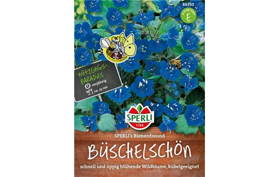 Büschelschön Büschelschön