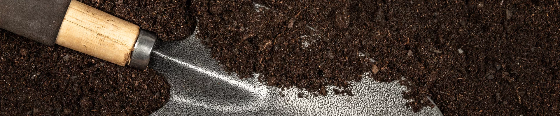 Gartenwerkzeuge auf Erde