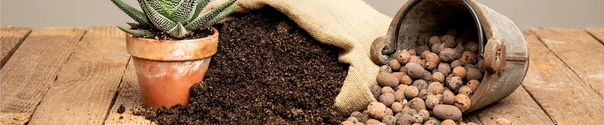 Erde im Jutesack mit Sukkulente und Blähton Erde im Jutesack mit Sukkulente und Blähton