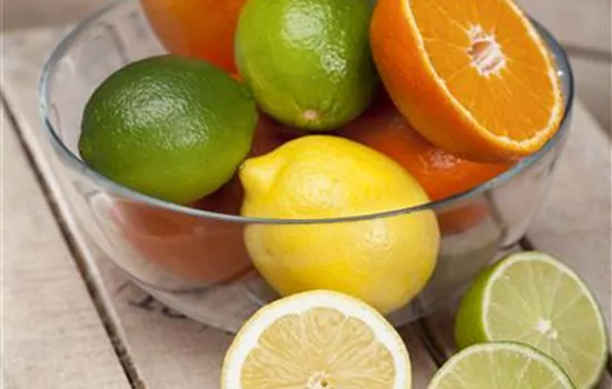 Mit einem Saisonkalender für Obst ist immer Zeit zum Naschen Mit einem Saisonkalender für Obst ist immer Zeit zum Naschen