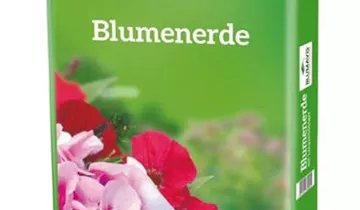 Blumavis