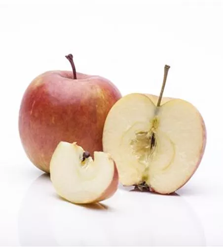 Malus 'Rhapsodie' -S- CAC