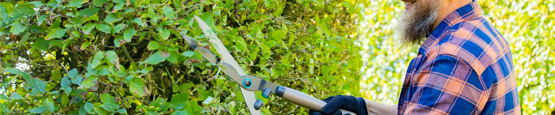 Gartengeräte - Mann mit Heckenschere