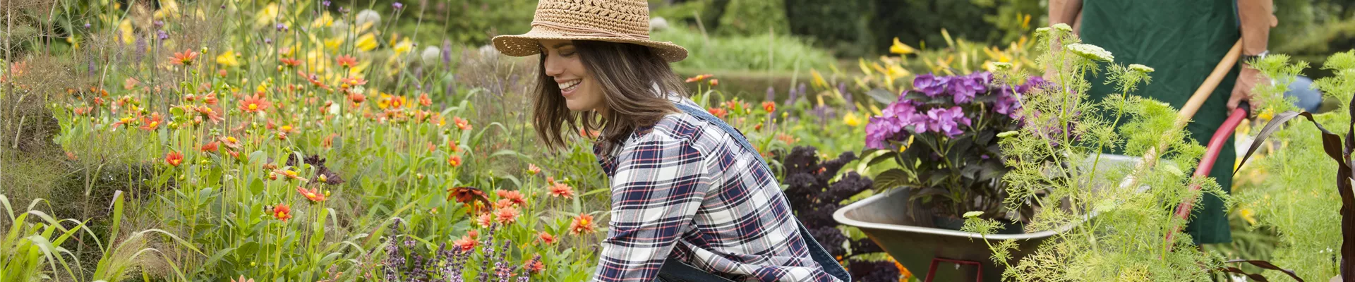 Gartenarbeit Gartenarbeit