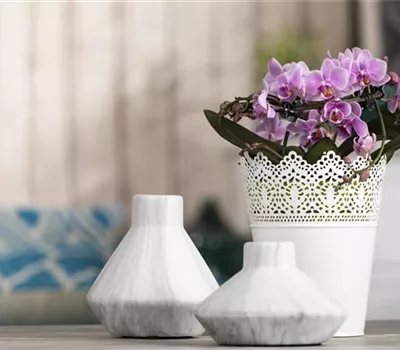 Eine Vase ist mehr als nur eine Vase