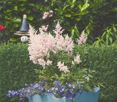 Frostschutz bereithalten Frostschutz bereithalten