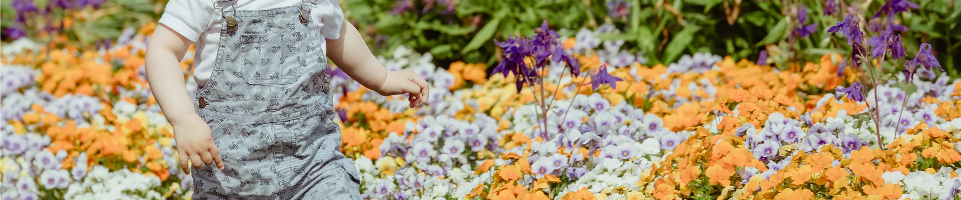 Kleiner Junge im Garten Kleiner Junge im Garten