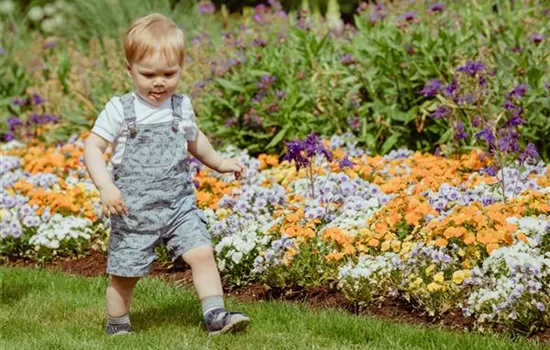 Das richtige Blumenbeet im Garten – so gelingt das Anlegen Das richtige Blumenbeet im Garten – so gelingt das Anlegen