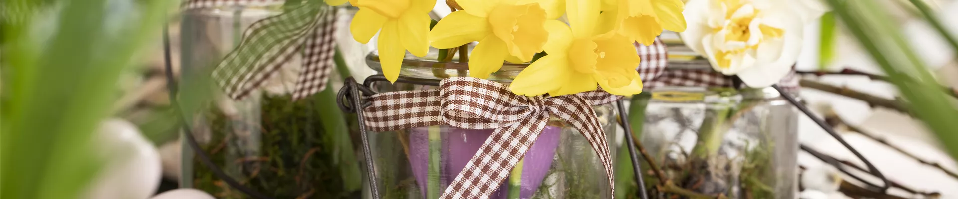 Osterambiente mit Narzissen Osterambiente mit Narzissen