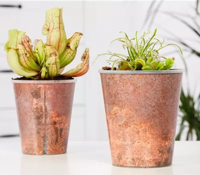 Auf Sauberkeit achten