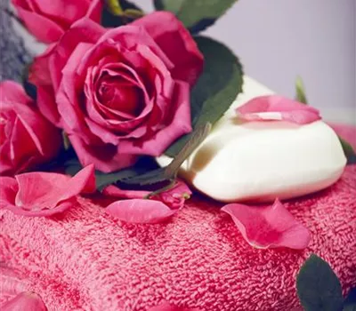 Rosen trocknen Rosen trocknen