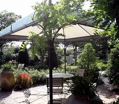 Mediterraner Garten – Tipps zur Gestaltung