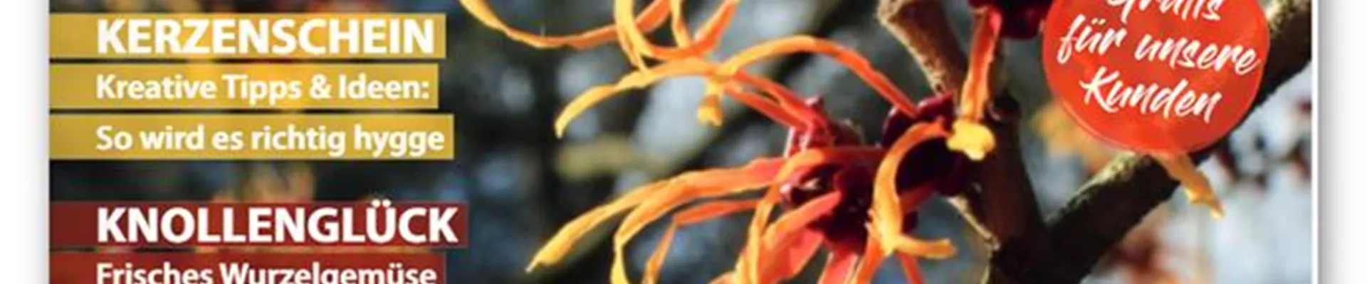 dee37bff-68eb-4258-bf4b-1603a05a5483