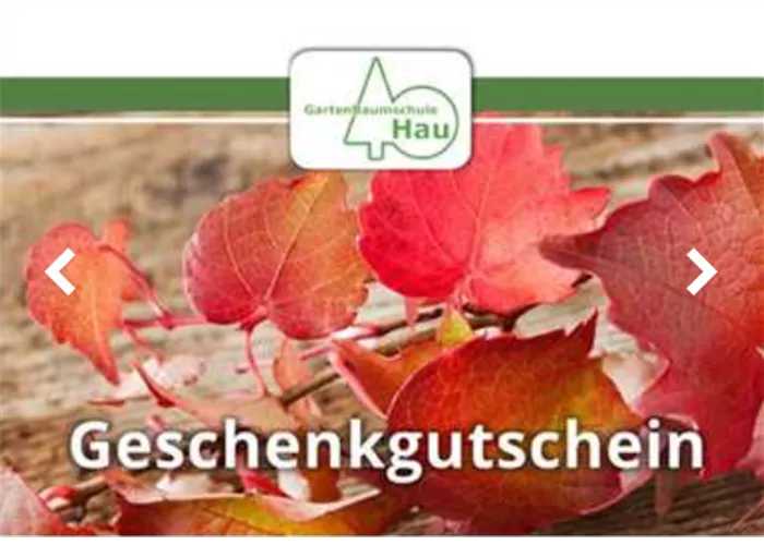 Gutscheine online Gutscheine online
